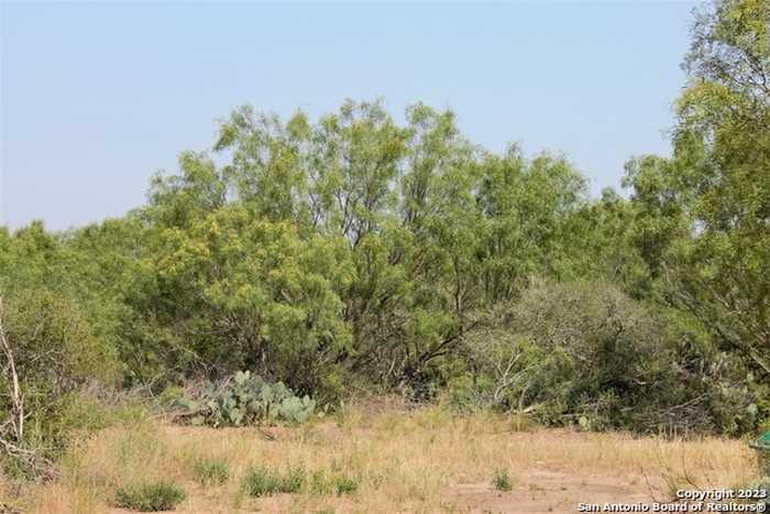 photo 2: 2424 CR 310 Lot 3, Jourdanton TX 78026