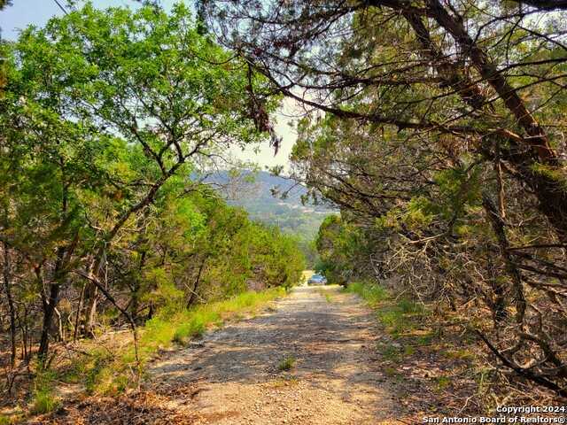 photo 3: 568 Buck Tr, Canyon Lake TX 78133