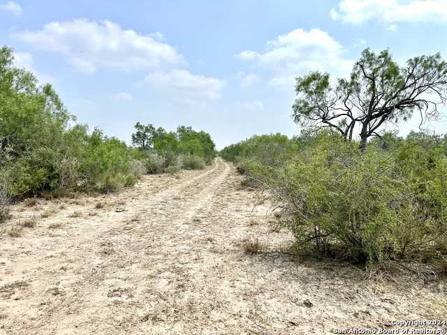 photo 2: CR 649, ZAPATA TX 78528