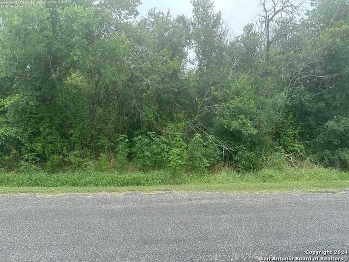 photo 1: 113 BUFFALO GAP, Seguin TX 78155