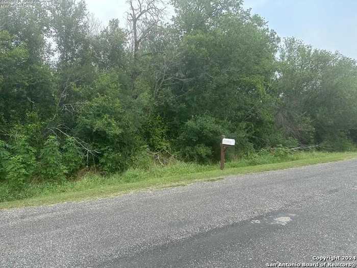 photo 2: 113 BUFFALO GAP, Seguin TX 78155