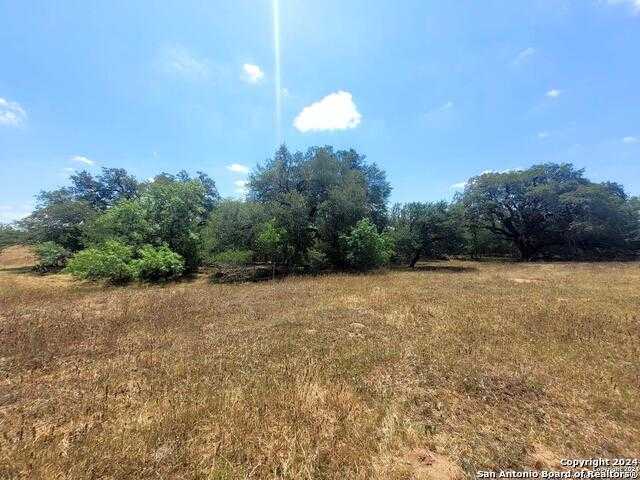 photo 2: LOT 3 OF 7 Bar R Lane, Floresville TX 78114