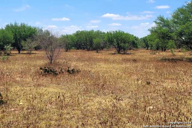 photo 2: LOT 5 OF 7 Bar R Lane, Floresville TX 78114