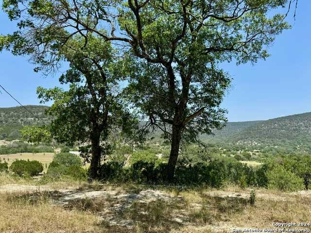 photo 3: John Buchanan Rd, Leakey TX 78873