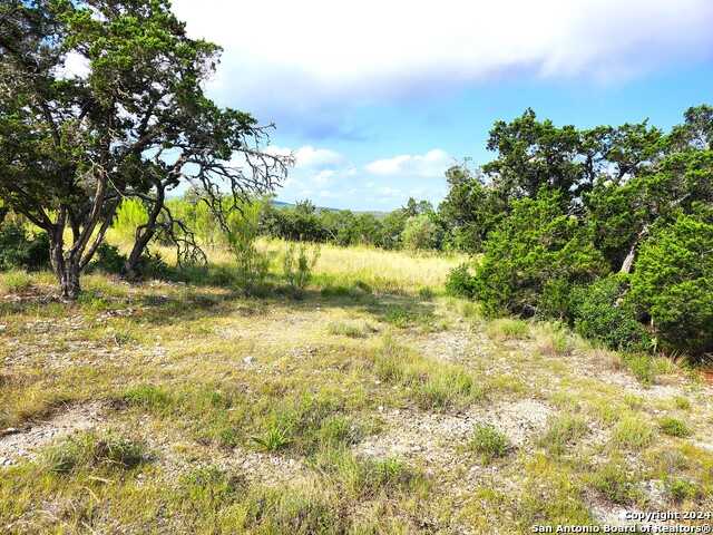 photo 1: 34 COUNTY ROAD 175, Helotes TX 78023