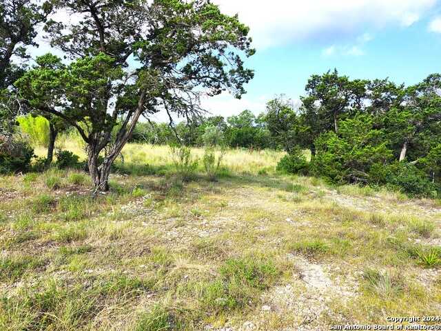 photo 3: 34 COUNTY ROAD 175, Helotes TX 78023