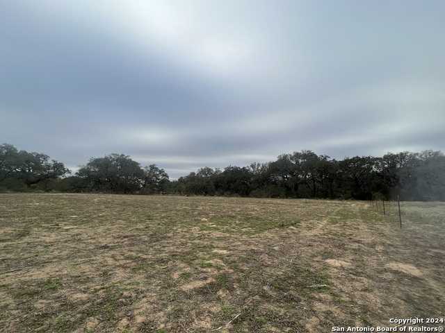 photo 3: County Road 665, Devine TX 78016