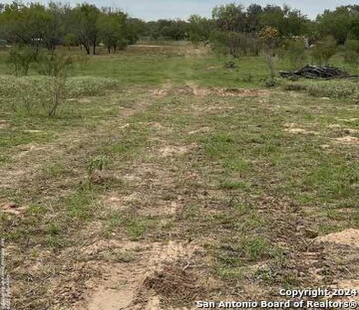 photo 5: County Road 665, Devine TX 78016