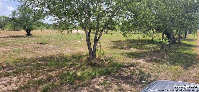 photo 2: 11851 Jarratt Rd, San Antonio TX 78002