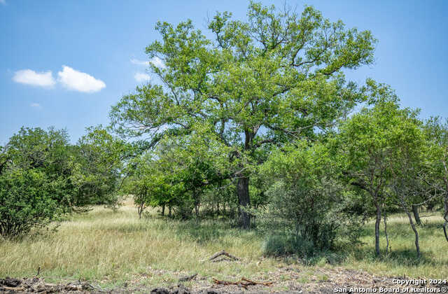 photo 3: 142 Steel Creek Crest, Center Point TX 78010