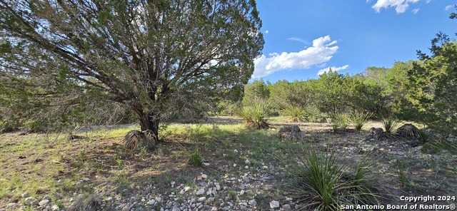 photo 3: 66 Oak Bend, Rocksprings TX 78880