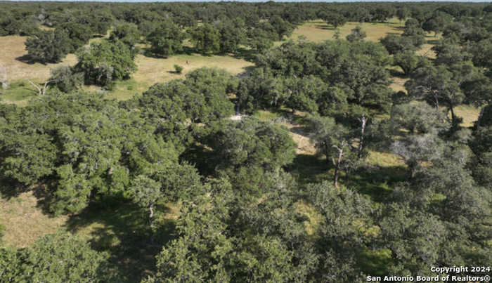 photo 2: 2774 TRACT 2 COUNTY ROAD 320, Floresville TX 78114