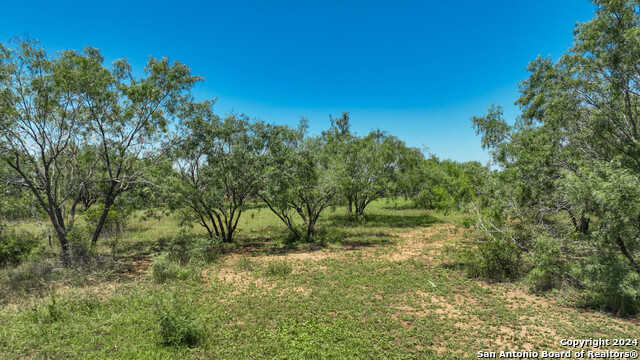 photo 1: 3968 Bluntzer Rd, Jourdanton TX 78026