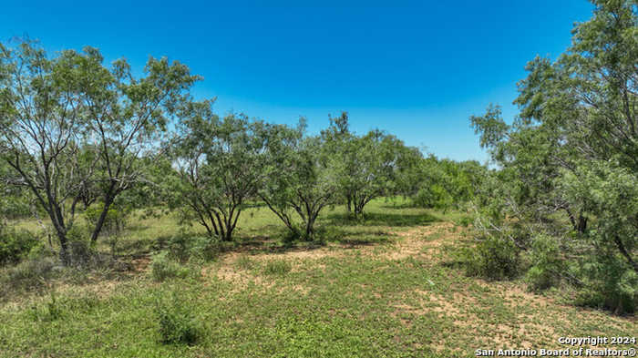 photo 1: 3968 Bluntzer Rd, Jourdanton TX 78026