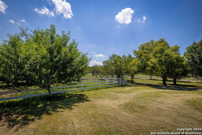 photo 39: 1350 WHISPERING WOODS TRL, New Braunfels TX 78132