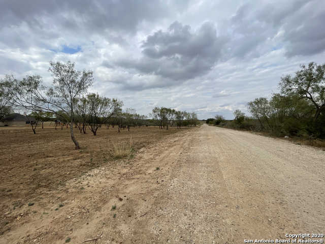 photo 3: 257 County Road 1647, Moore TX 78057