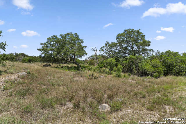 photo 1: LOT 51 County Road 2804, Mico TX 78056