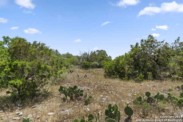 photo 3: LOT 51 County Road 2804, Mico TX 78056