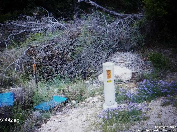 photo 2: LOT 315 Private Road 1745, Mico TX 78056