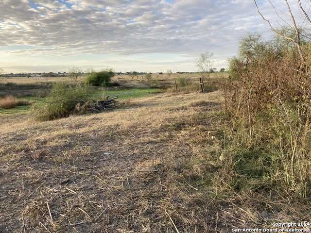 photo 3: 117 COUNTY ROAD 117, Floresville TX 78114