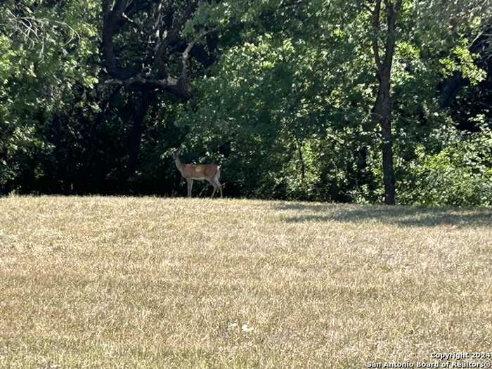 photo 17: 9200 Marymont Park, San Antonio TX 78217