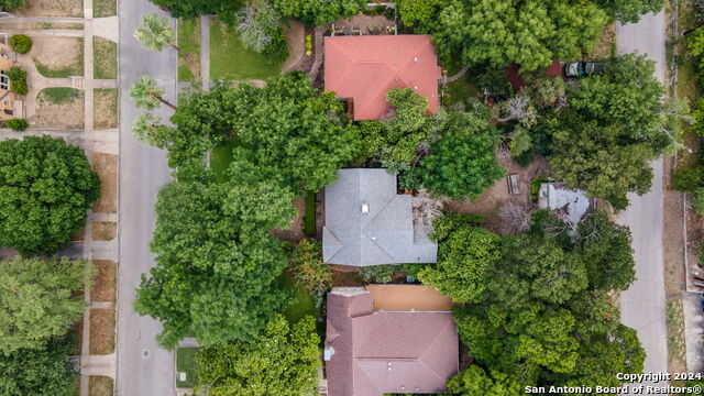 photo 3: 262 E ROSEWOOD AVE, San Antonio TX 78212