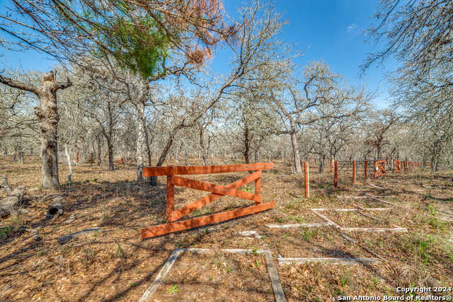 photo 3: 683 CHERRY RIDGE, Floresville TX 78114