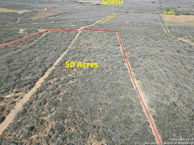 photo 2: 11329 FM 2779, Moore TX 78057