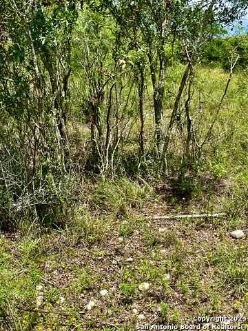 photo 2: LOT 11 Enchanted River Dr., Bandera TX 78003