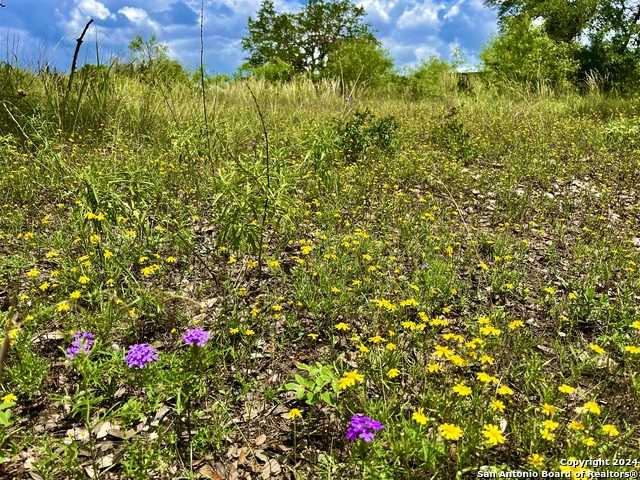 photo 3: LOT 11 Enchanted River Dr., Bandera TX 78003