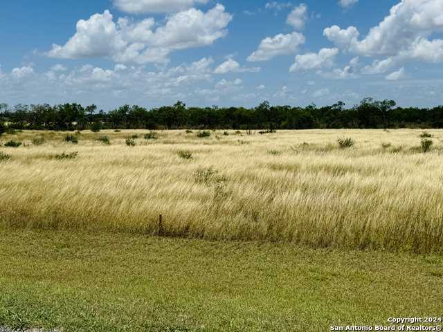 photo 1: 157 GENTLE BREEZE, La Vernia TX 78114