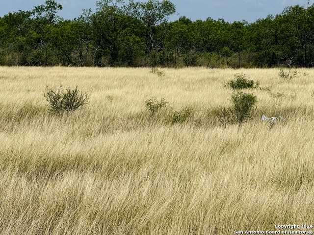 photo 2: 157 GENTLE BREEZE, La Vernia TX 78114