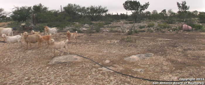 photo 21: LOT 3 WHITETAIL RD, Del Rio TX 78840