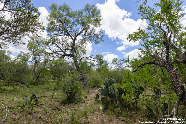 photo 2: CR 651, Devine TX 78016