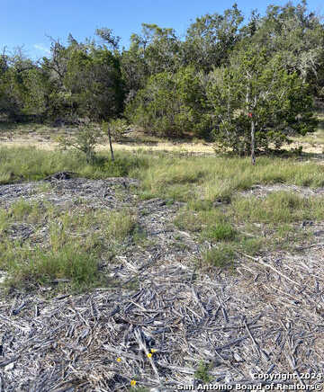 photo 3: 577 Rosemary Ridge, Bulverde TX 78163