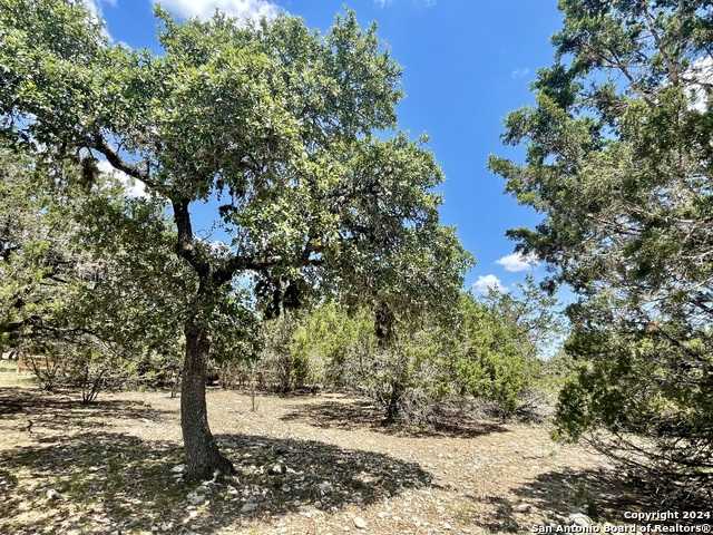 photo 3: LOT 104 PR 1509, Bandera TX 78003