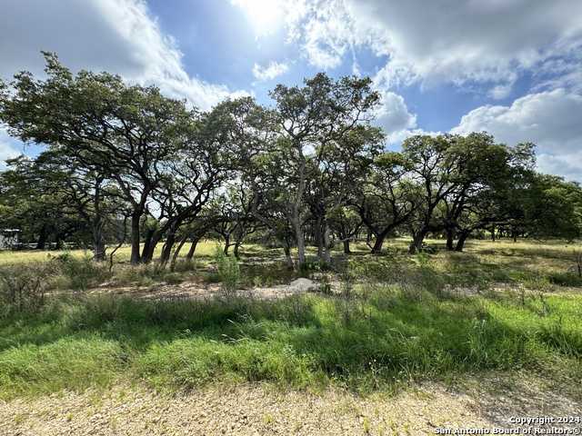 photo 3: 931 maximino ridge, Bulverde TX 78163