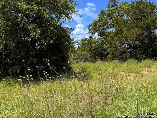 photo 3: 985 MALBEC LOOP, Canyon Lake TX 78133