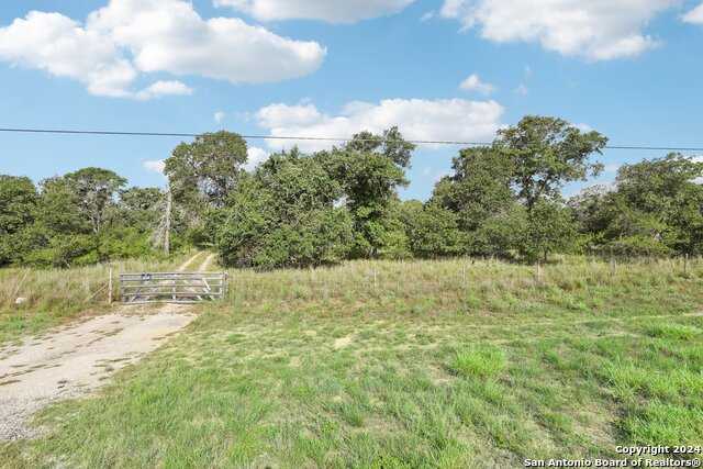 photo 2: 12170 FM 1117, Seguin TX 78155