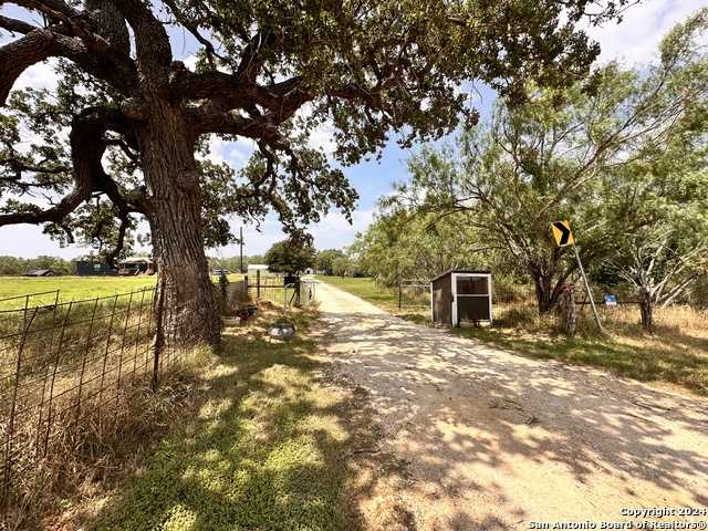 photo 2: 4020 ODANIEL RD, Seguin TX 78155