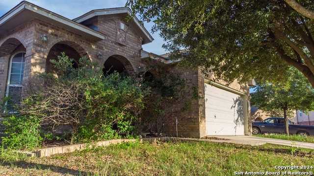 photo 3: 10406 Pecne Path, Helotes TX 78023