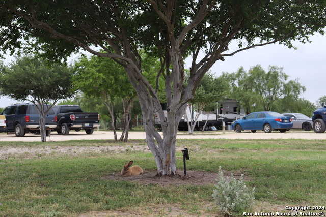 photo 3: 1574 Westward Trail, Uvalde TX 78801