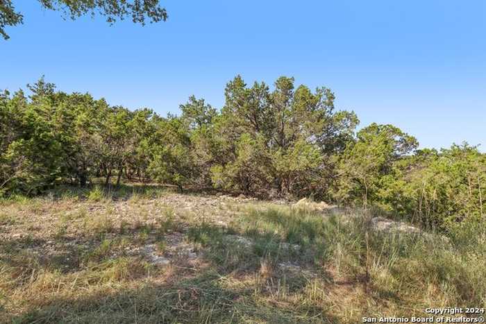 photo 1: 2602 ROCKY RIDGE LOOP, Canyon Lake TX 78133