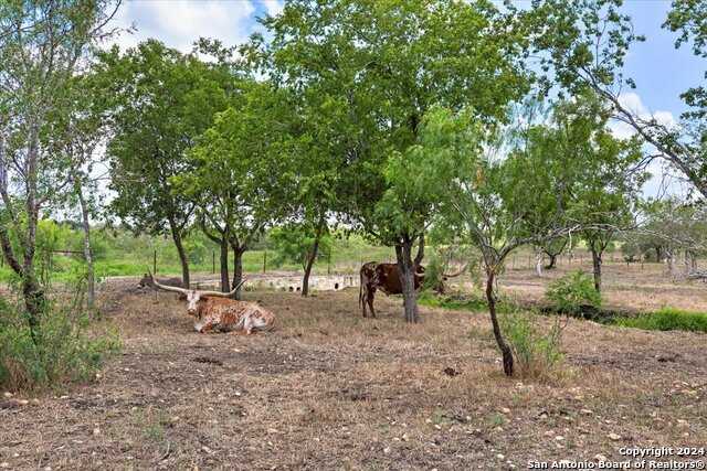 photo 2: 148 LAKECREEK DR, New Braunfels TX 78130