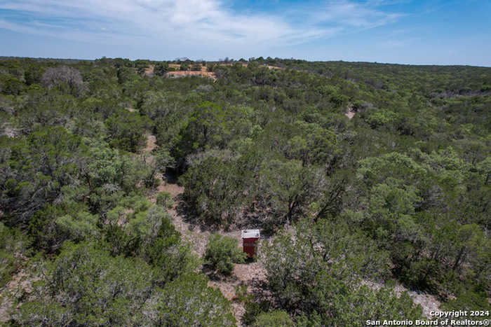 photo 2: 351 N Ringtail Rd, Leakey TX 78873