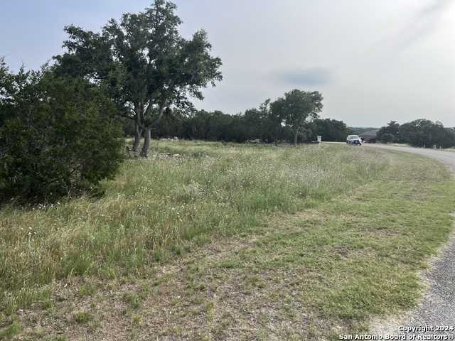 photo 1: 133 Macaw Lane, Spring Branch TX 78070