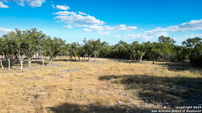 photo 2: 487 Ranch Pass, Fair Oaks Ranch TX 78015