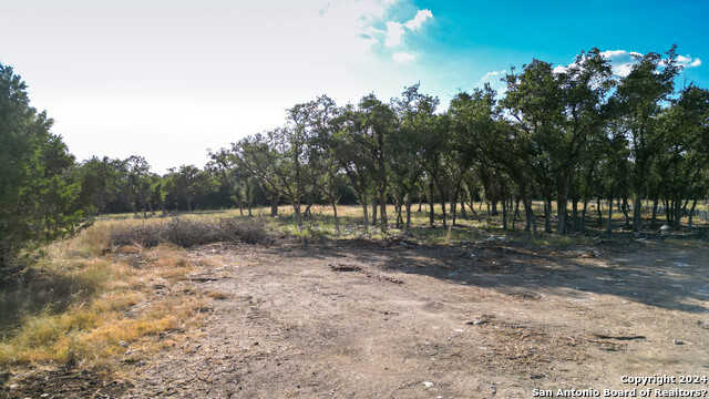 photo 3: 487 Ranch Pass, Fair Oaks Ranch TX 78015