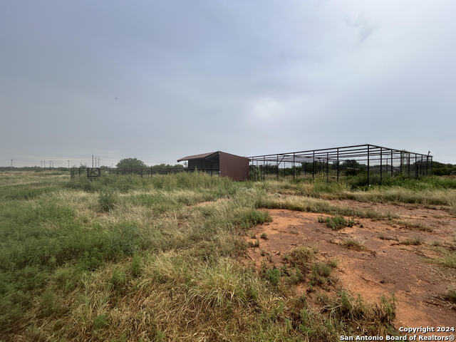 photo 3: 203 county road 1151, Pearsall TX 78061