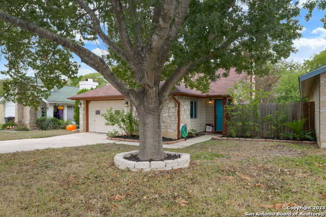 photo 3: 5523 Dashing Creek, San Antonio TX 78247